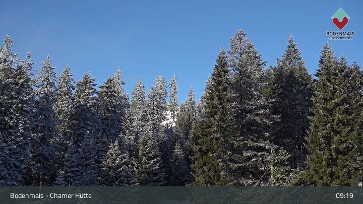 Archiv Foto Webcam Bodenmais - Schutzhütte Kl. Arber/Chamer Hütte