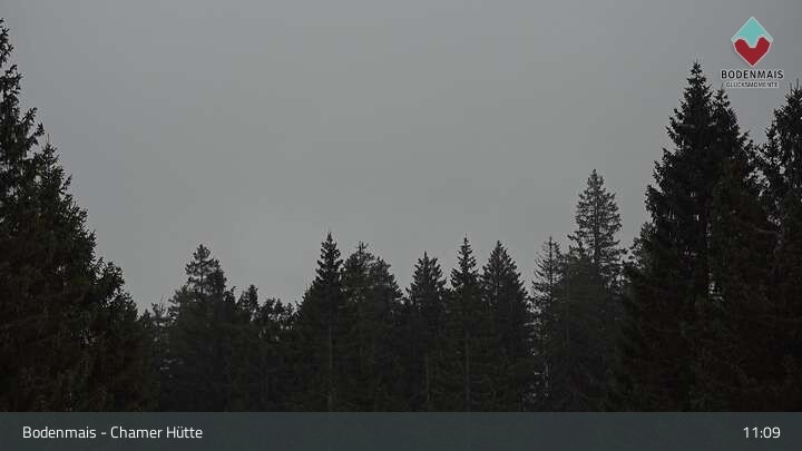Archiv Foto Webcam Bodenmais - Schutzhütte Kl. Arber/Chamer Hütte