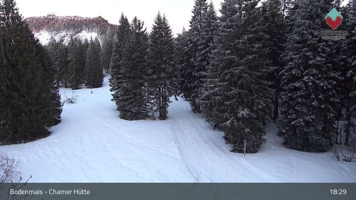 Archived image Webcam Bodenmais - Shelter Chamer Hut