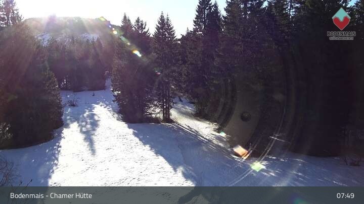 Archived image Webcam Bodenmais - Shelter Chamer Hut