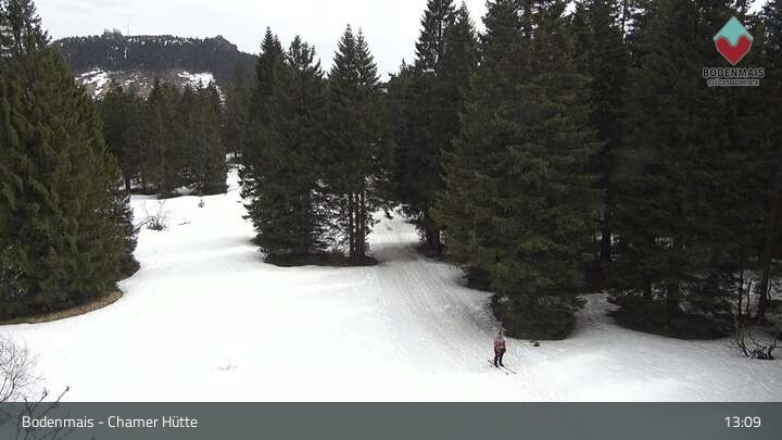 Archiv Foto Webcam Bodenmais - Schutzhütte Kl. Arber/Chamer Hütte