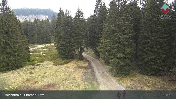 Archiv Foto Webcam Bodenmais - Schutzhütte Kl. Arber/Chamer Hütte