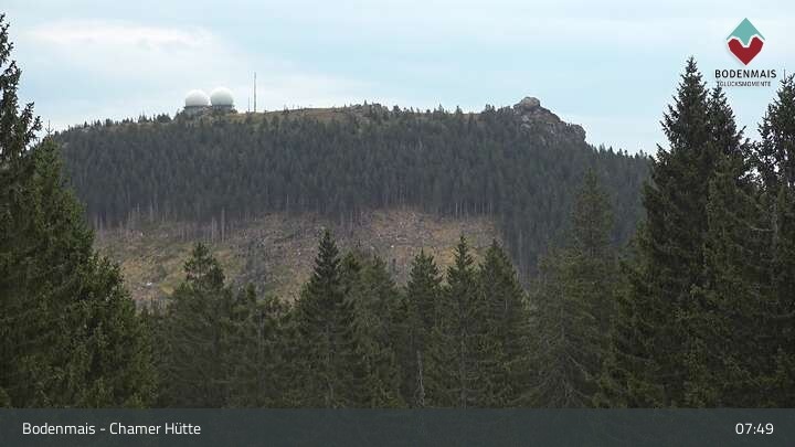 Archiv Foto Webcam Bodenmais - Schutzhütte Kl. Arber/Chamer Hütte