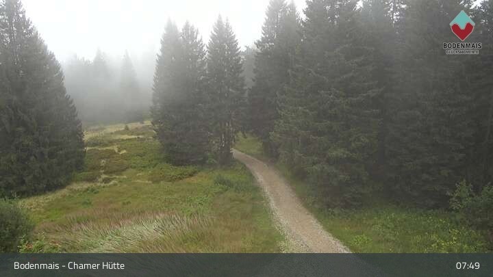 Archiv Foto Webcam Bodenmais - Schutzhütte Kl. Arber/Chamer Hütte