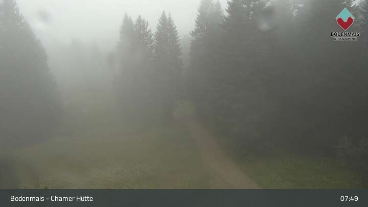 Archiv Foto Webcam Bodenmais - Schutzhütte Kl. Arber/Chamer Hütte