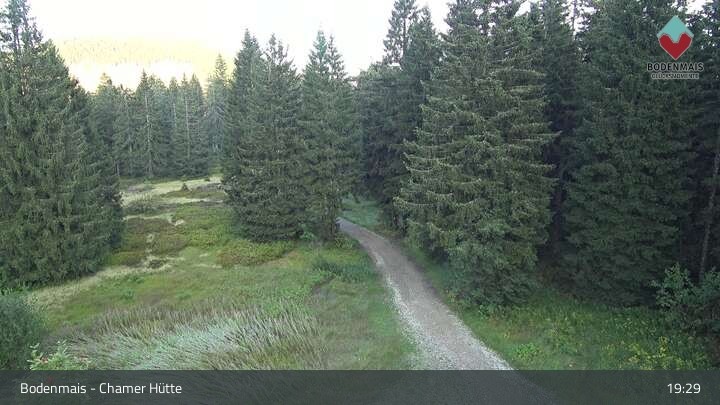 Archiv Foto Webcam Bodenmais - Schutzhütte Kl. Arber/Chamer Hütte
