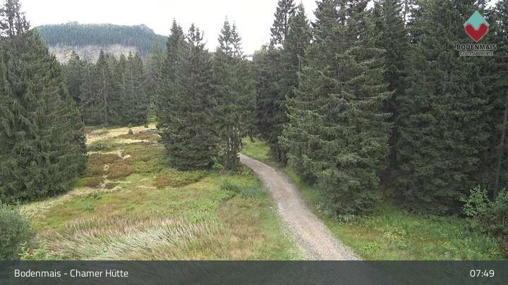 Archiv Foto Webcam Bodenmais - Schutzhütte Kl. Arber/Chamer Hütte