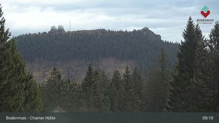 Archiv Foto Webcam Bodenmais - Schutzhütte Kl. Arber/Chamer Hütte