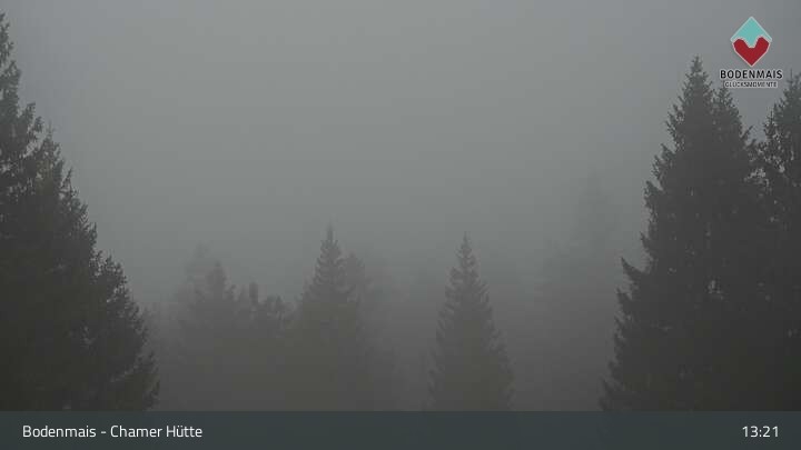 Archiv Foto Webcam Bodenmais - Schutzhütte Kl. Arber/Chamer Hütte