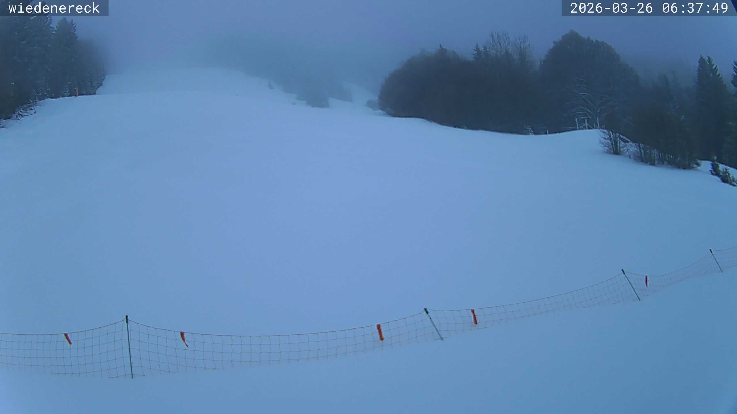Archiv Foto Webcam Münstertal-Wieden: Rollspitz