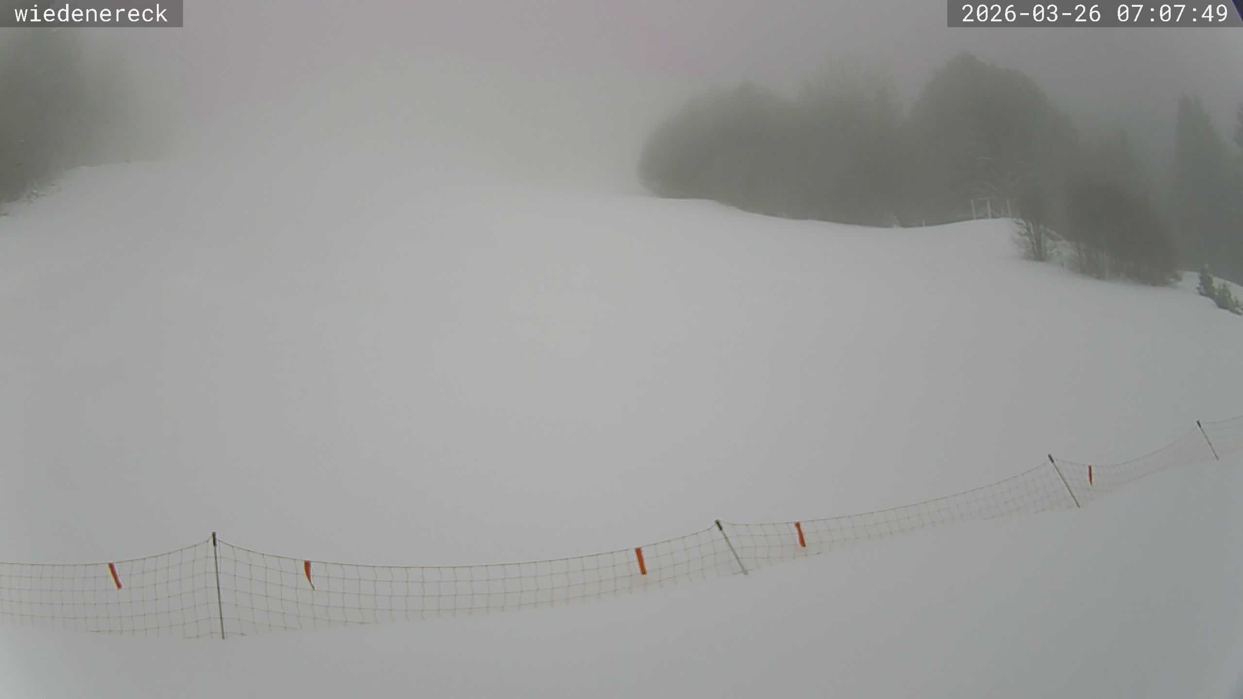 Archiv Foto Webcam Münstertal-Wieden: Rollspitz