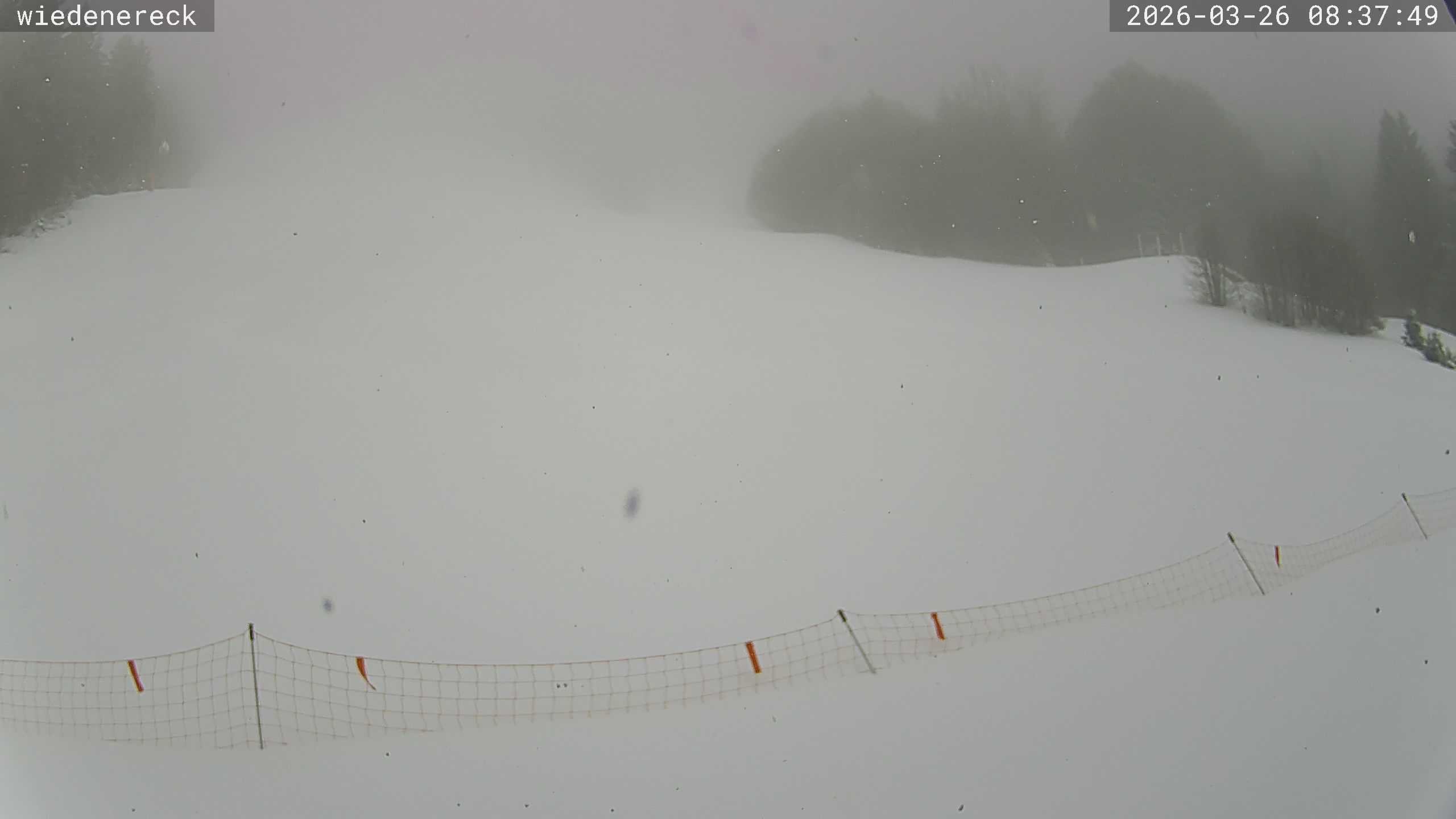 Archiv Foto Webcam Münstertal-Wieden: Rollspitz