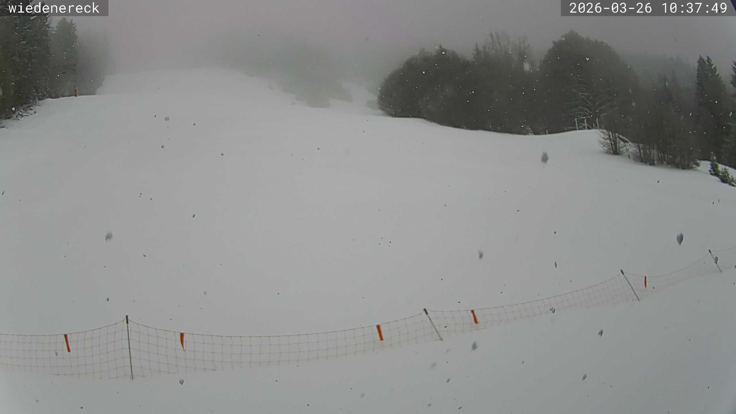 Archiv Foto Webcam Münstertal-Wieden: Rollspitz