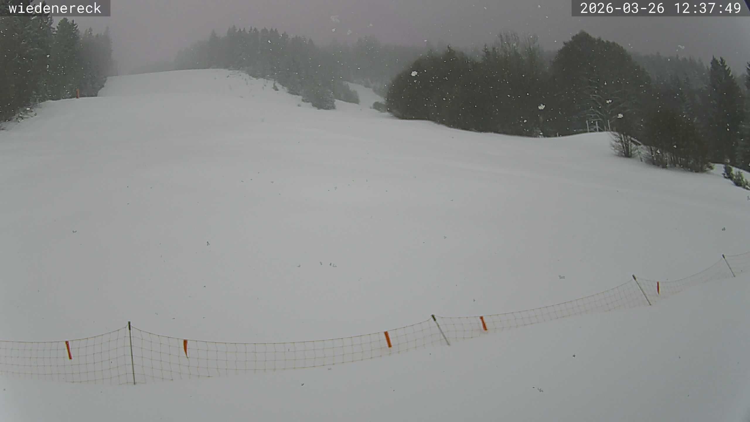 Archiv Foto Webcam Münstertal-Wieden: Rollspitz