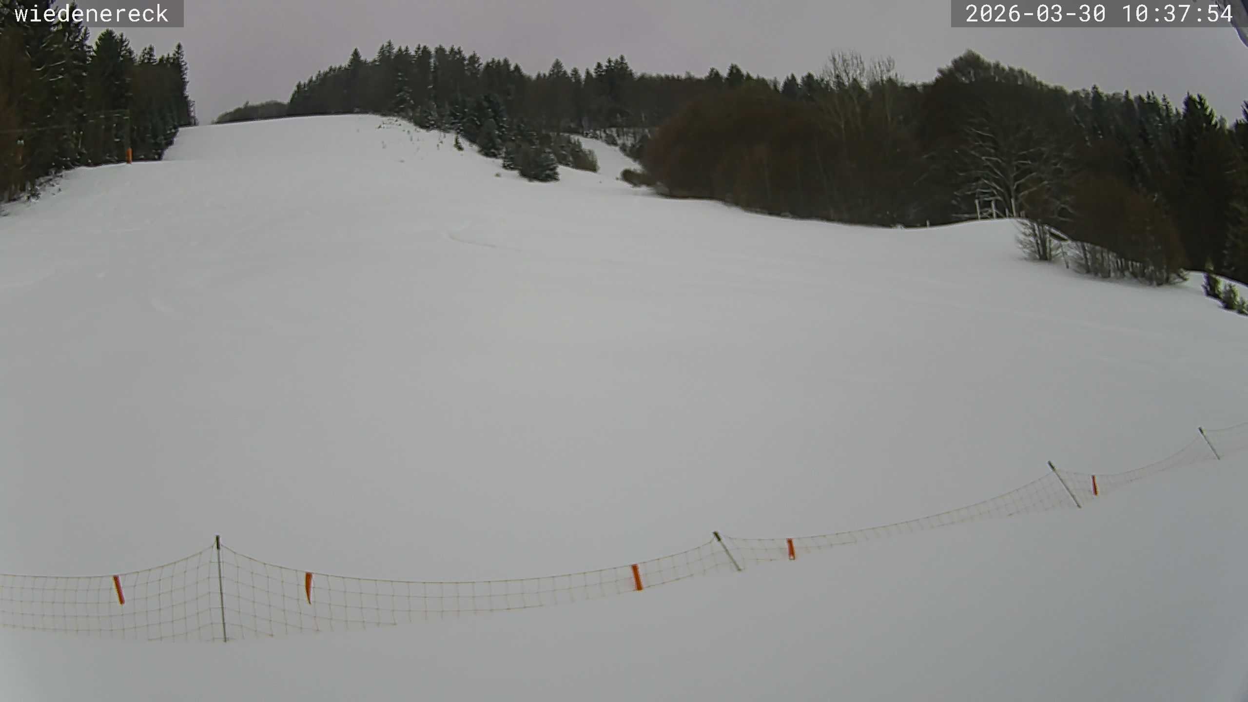 Archiv Foto Webcam Münstertal-Wieden: Rollspitz