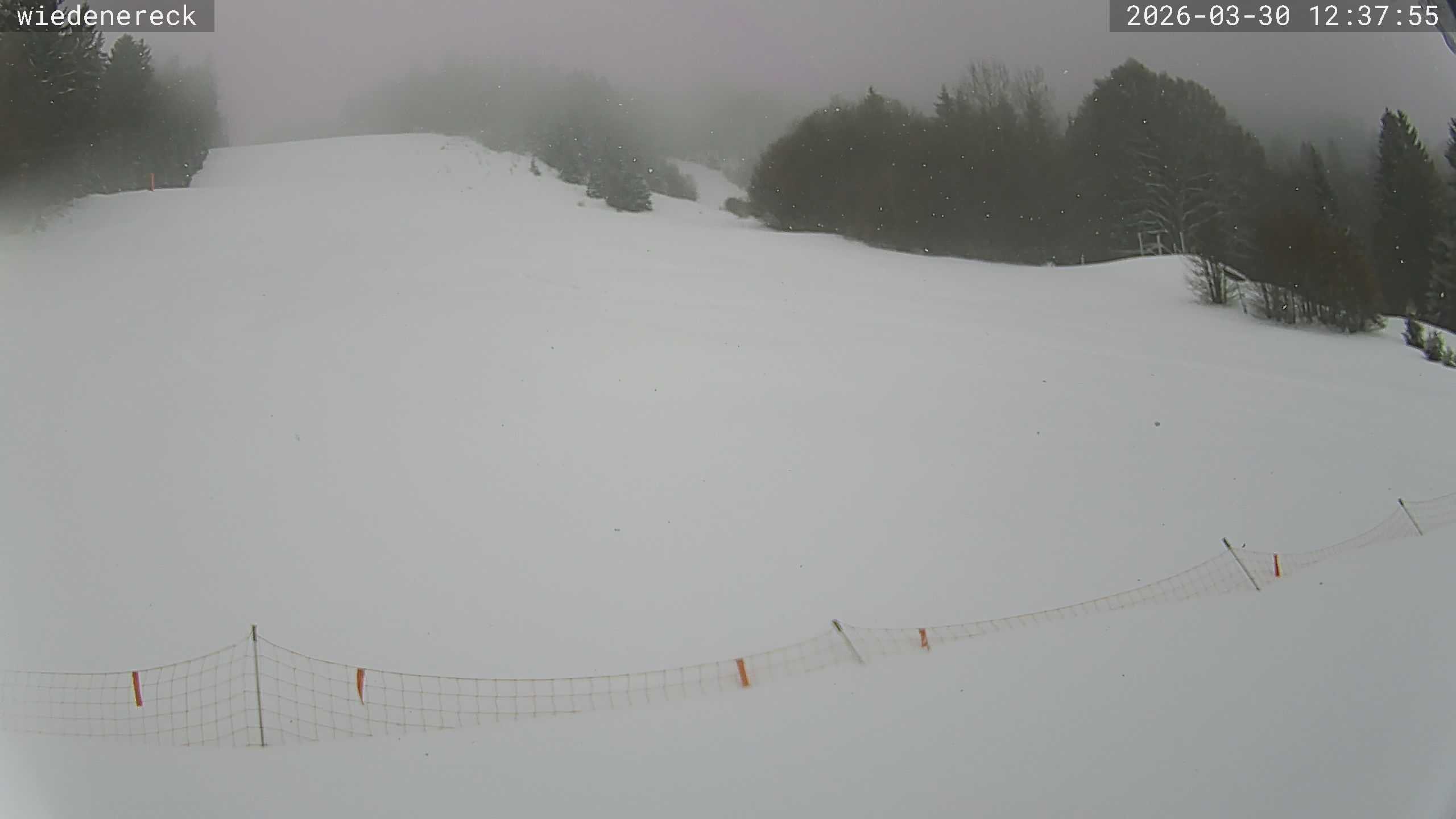 Archiv Foto Webcam Münstertal-Wieden: Rollspitz