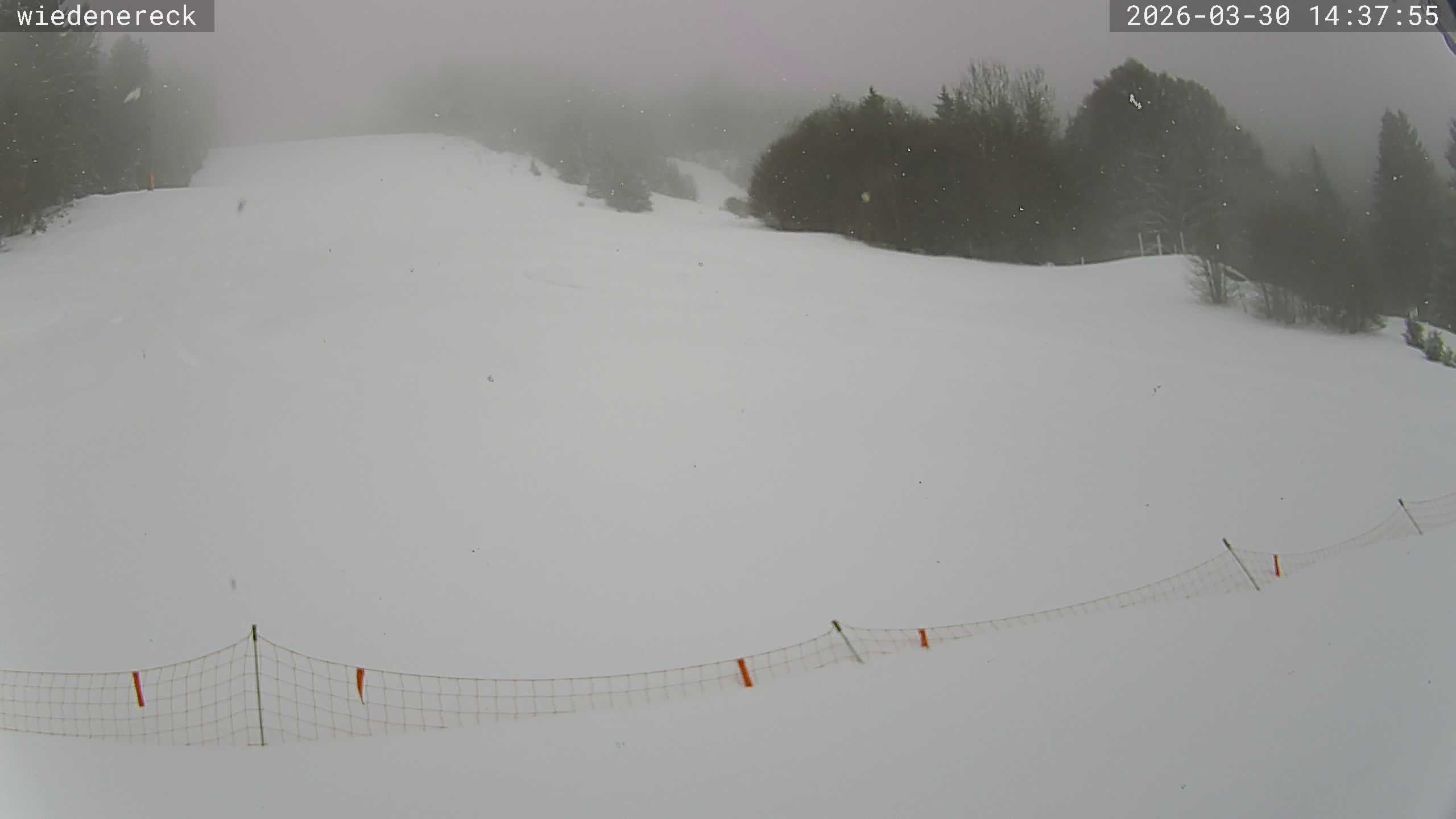 Archiv Foto Webcam Münstertal-Wieden: Rollspitz