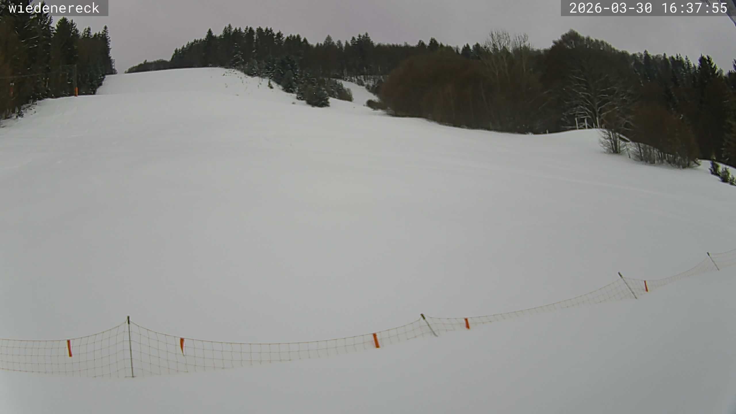 Archiv Foto Webcam Münstertal-Wieden: Rollspitz