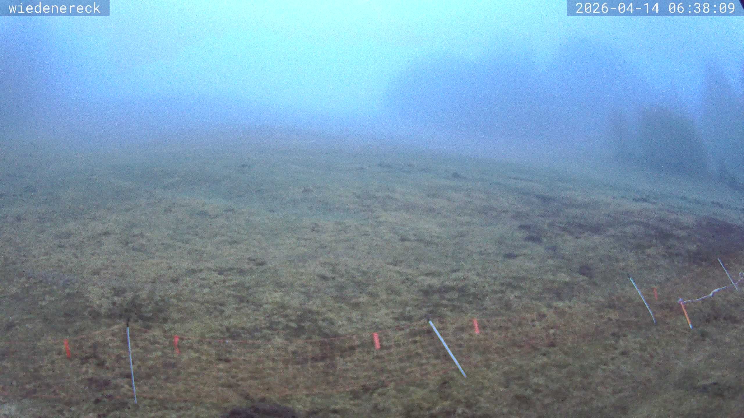 Archiv Foto Webcam Münstertal-Wieden: Rollspitz