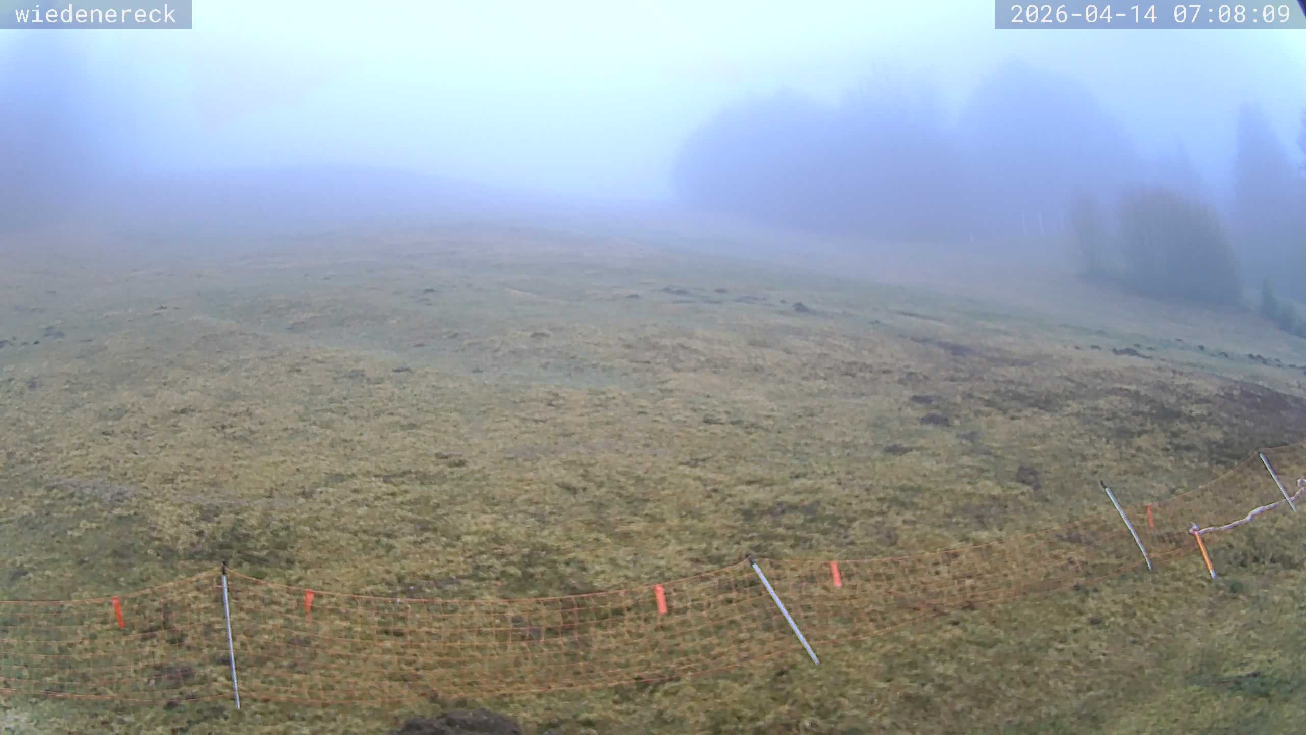 Archiv Foto Webcam Münstertal-Wieden: Rollspitz