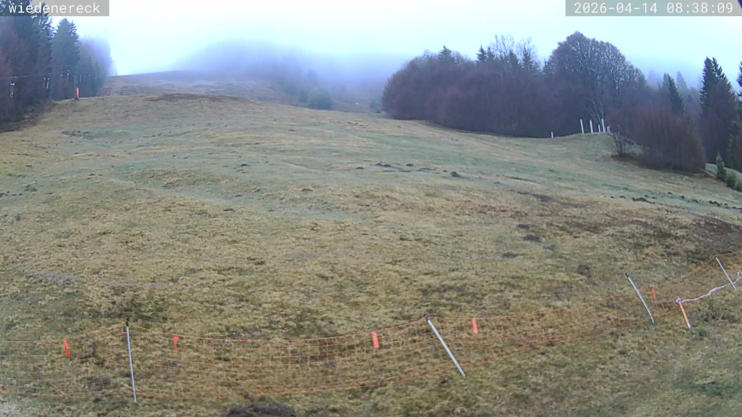 Archiv Foto Webcam Münstertal-Wieden: Rollspitz