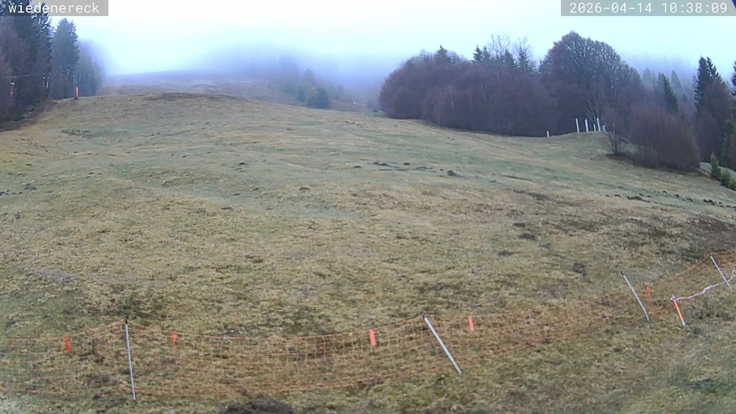 Archiv Foto Webcam Münstertal-Wieden: Rollspitz