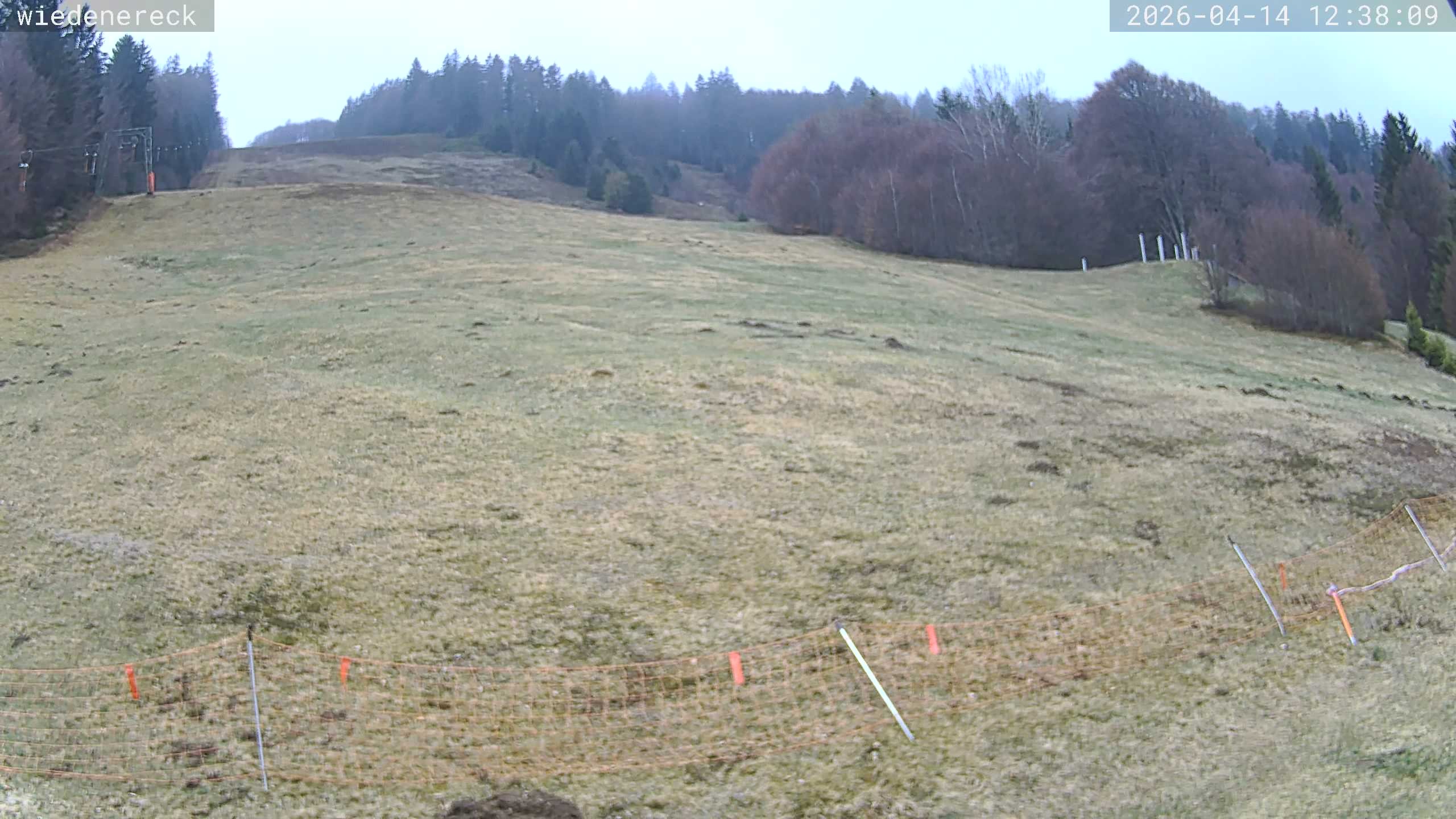 Archiv Foto Webcam Münstertal-Wieden: Rollspitz