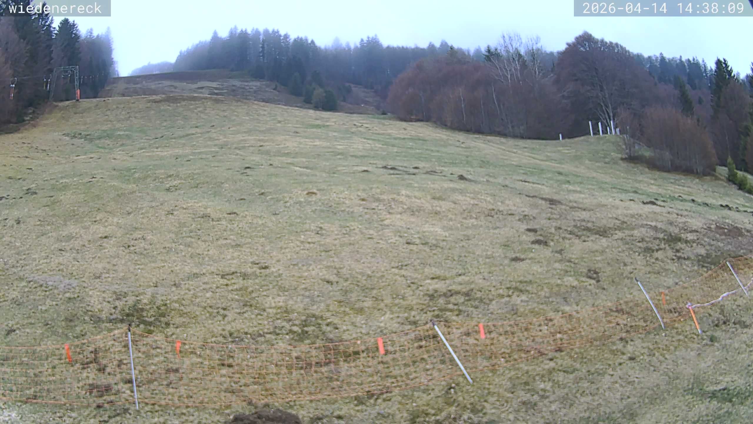 Archiv Foto Webcam Münstertal-Wieden: Rollspitz