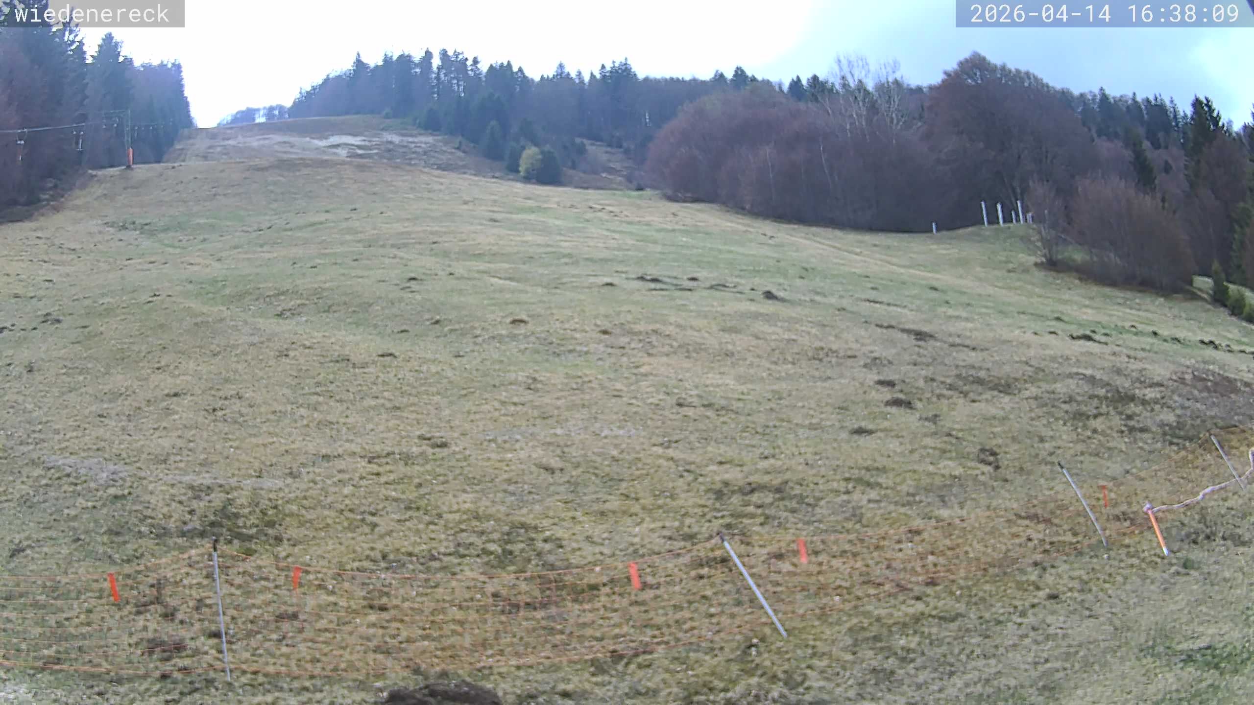 Archiv Foto Webcam Münstertal-Wieden: Rollspitz