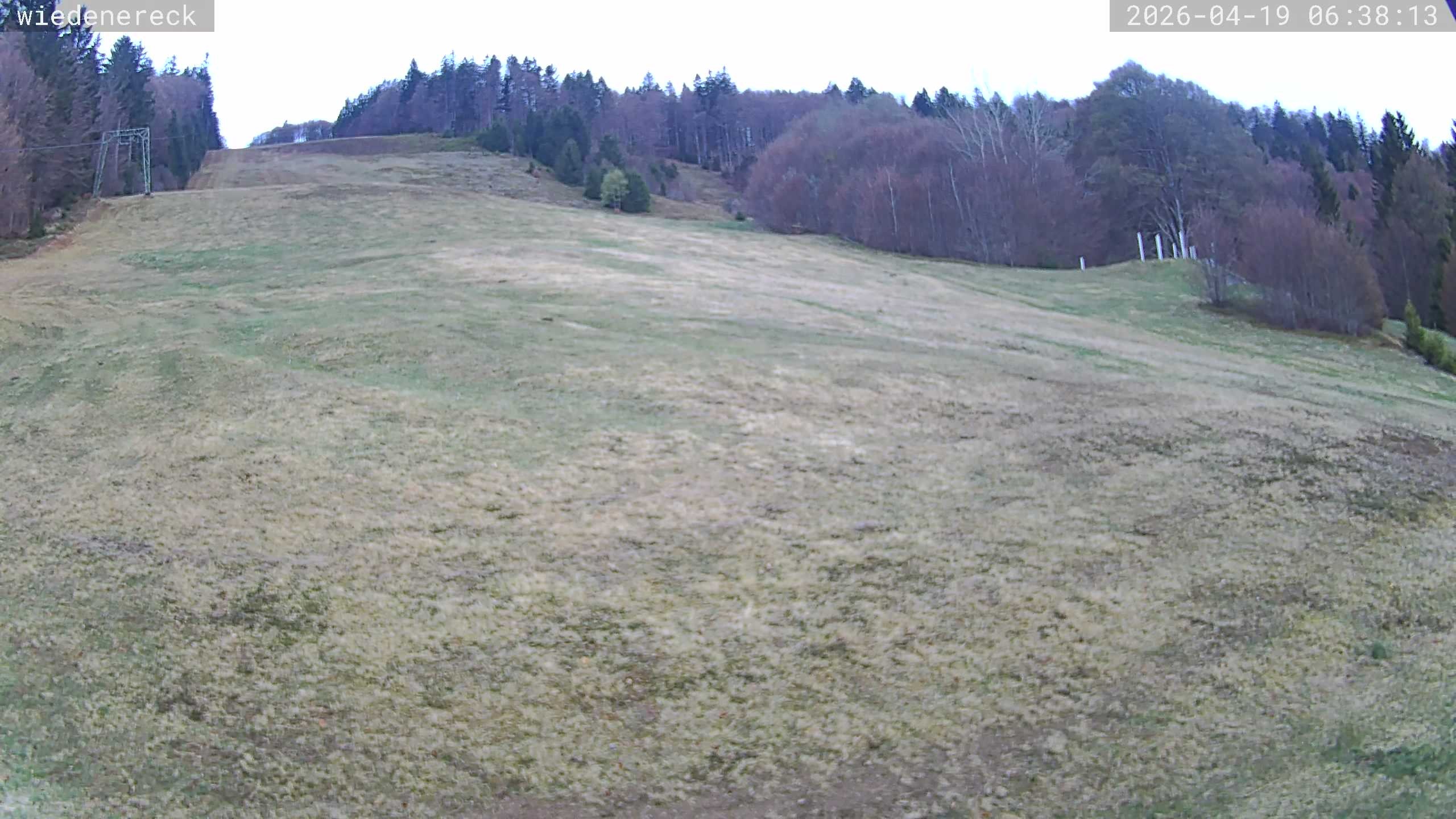 Archiv Foto Webcam Münstertal-Wieden: Rollspitz
