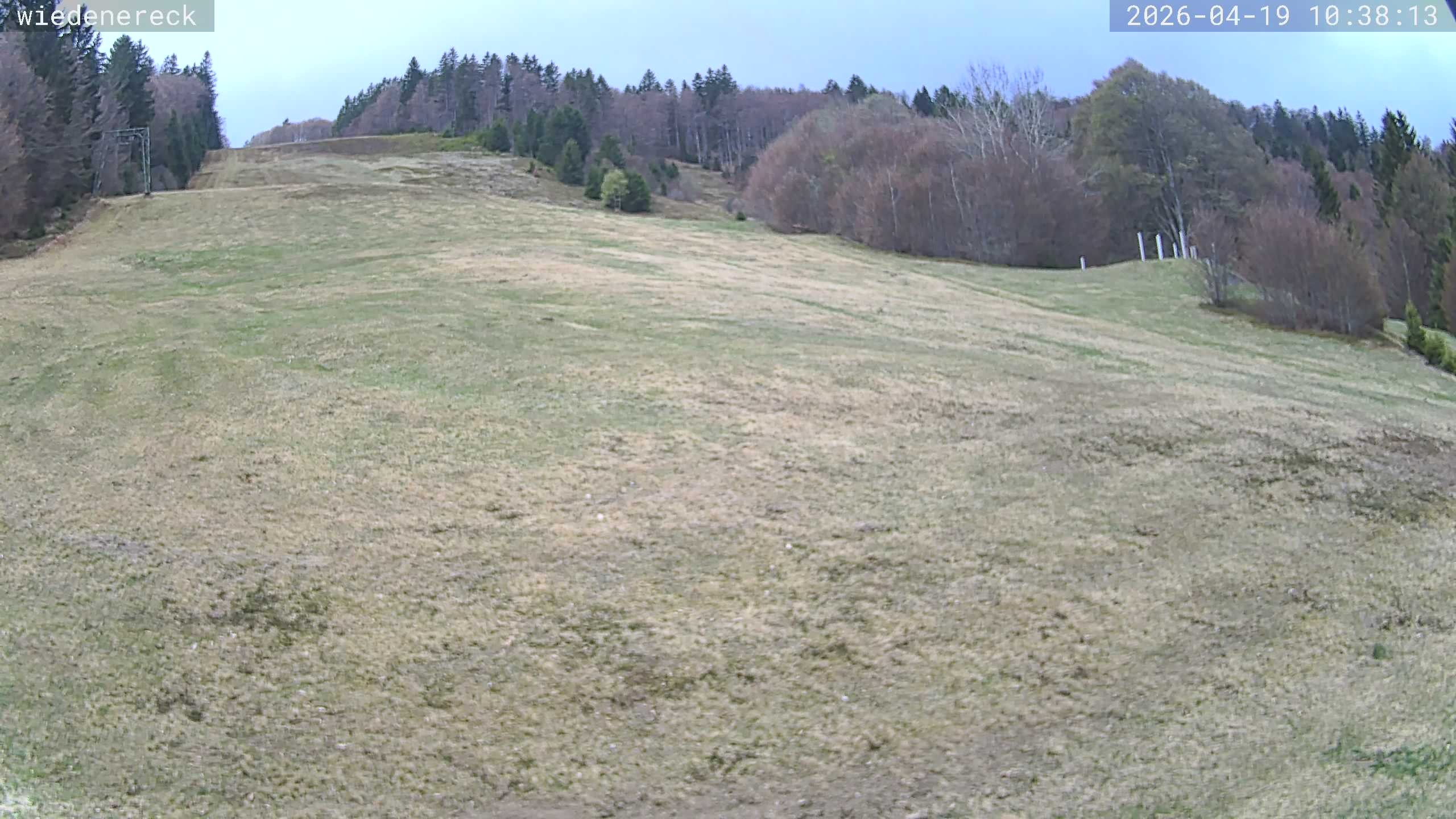 Archiv Foto Webcam Münstertal-Wieden: Rollspitz