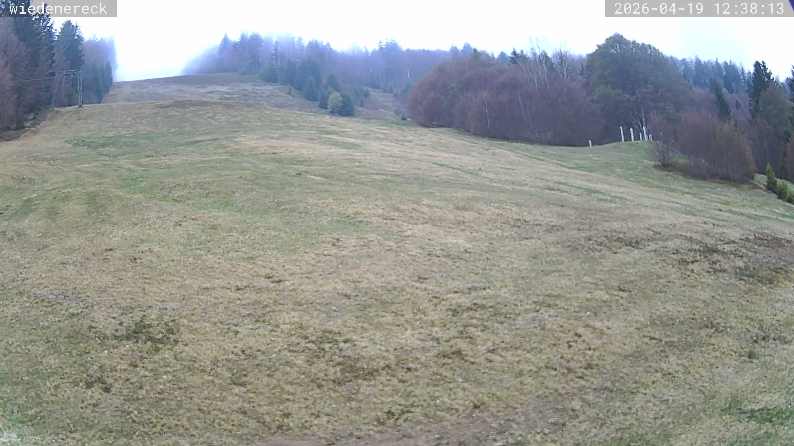Archiv Foto Webcam Münstertal-Wieden: Rollspitz