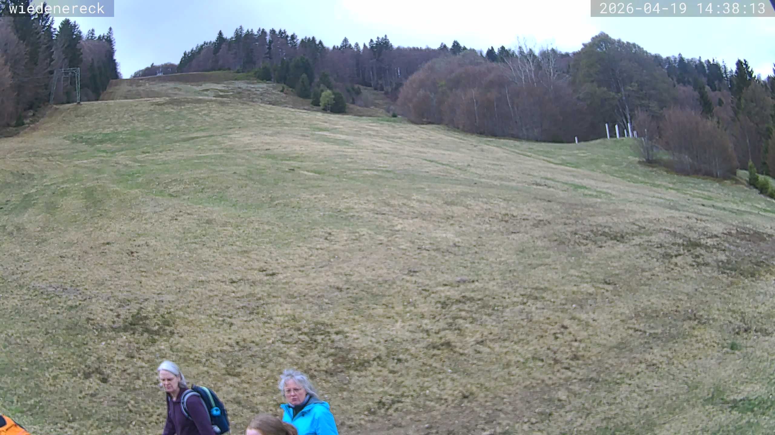 Archiv Foto Webcam Münstertal-Wieden: Rollspitz