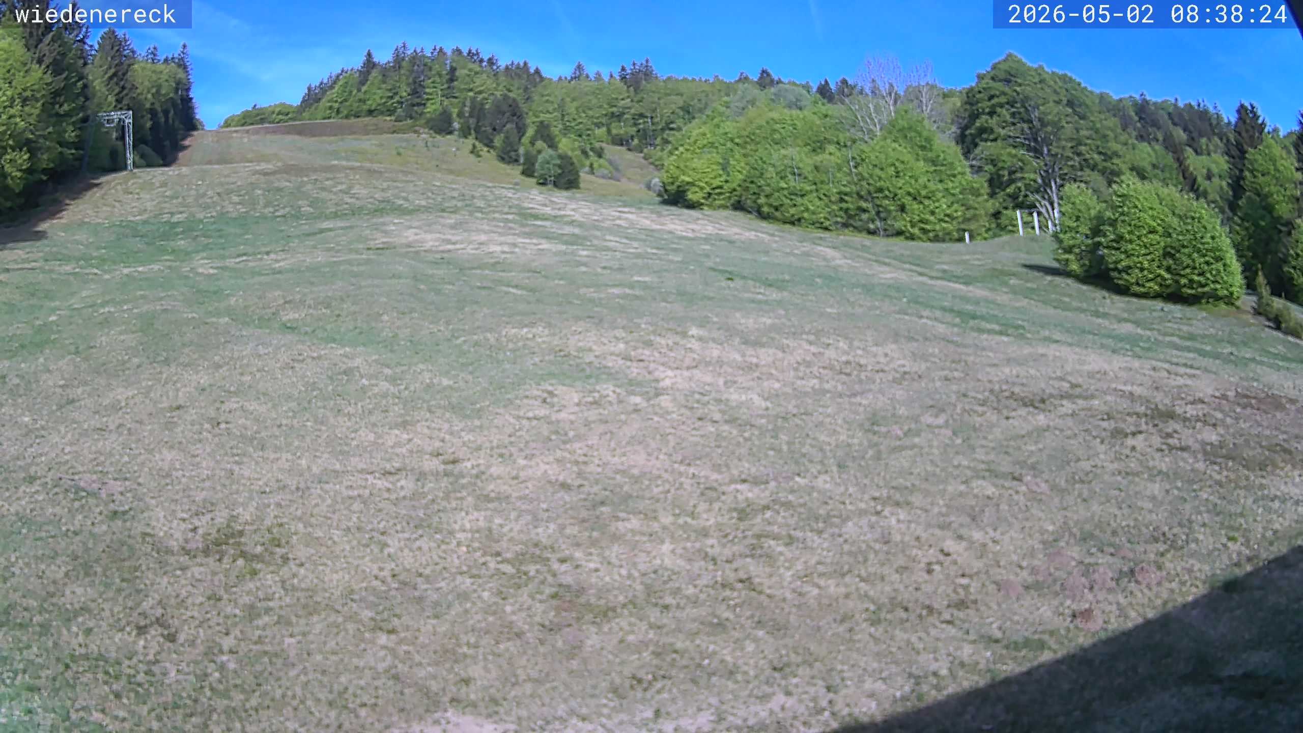 Archiv Foto Webcam Münstertal-Wieden: Rollspitz