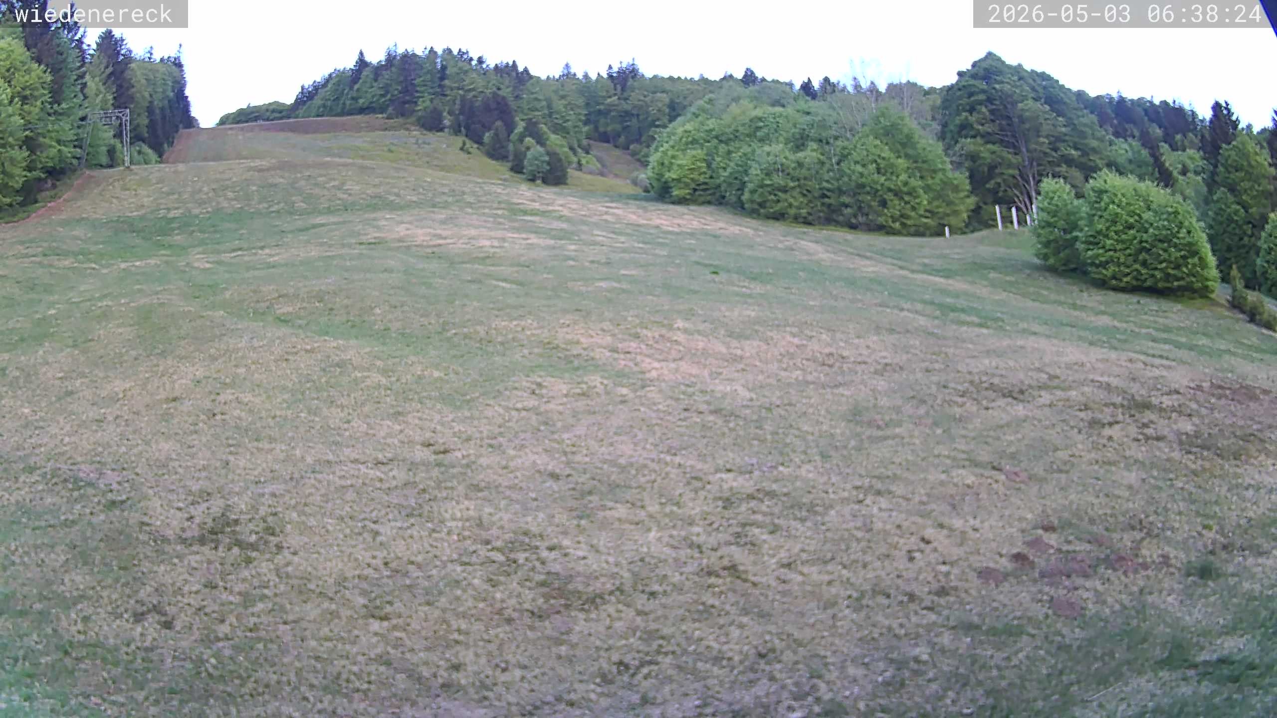Archiv Foto Webcam Münstertal-Wieden: Rollspitz