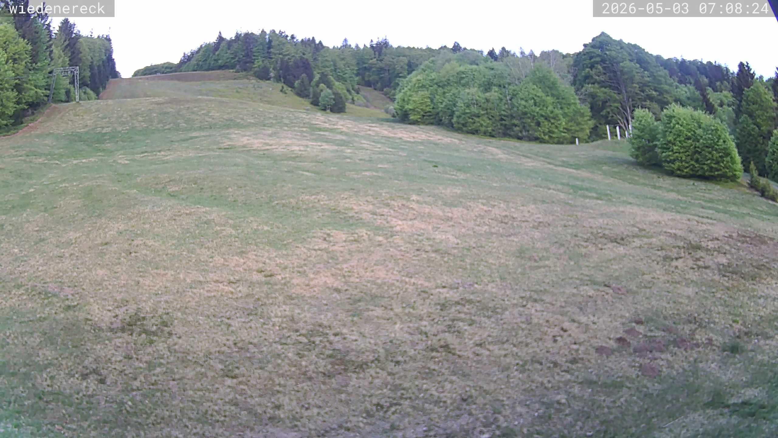 Archiv Foto Webcam Münstertal-Wieden: Rollspitz