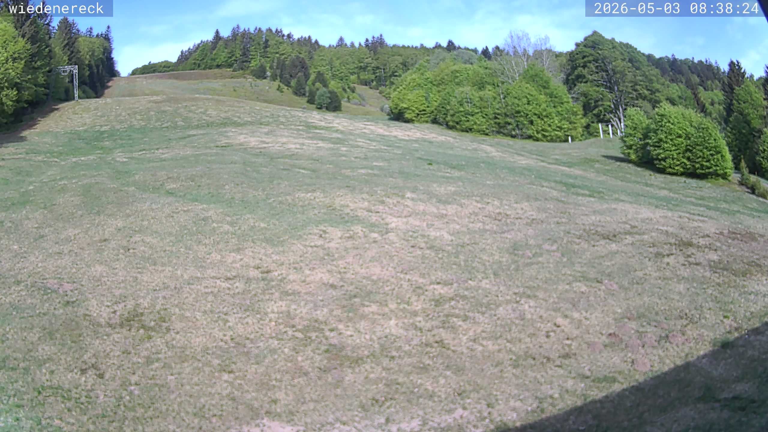 Archiv Foto Webcam Münstertal-Wieden: Rollspitz