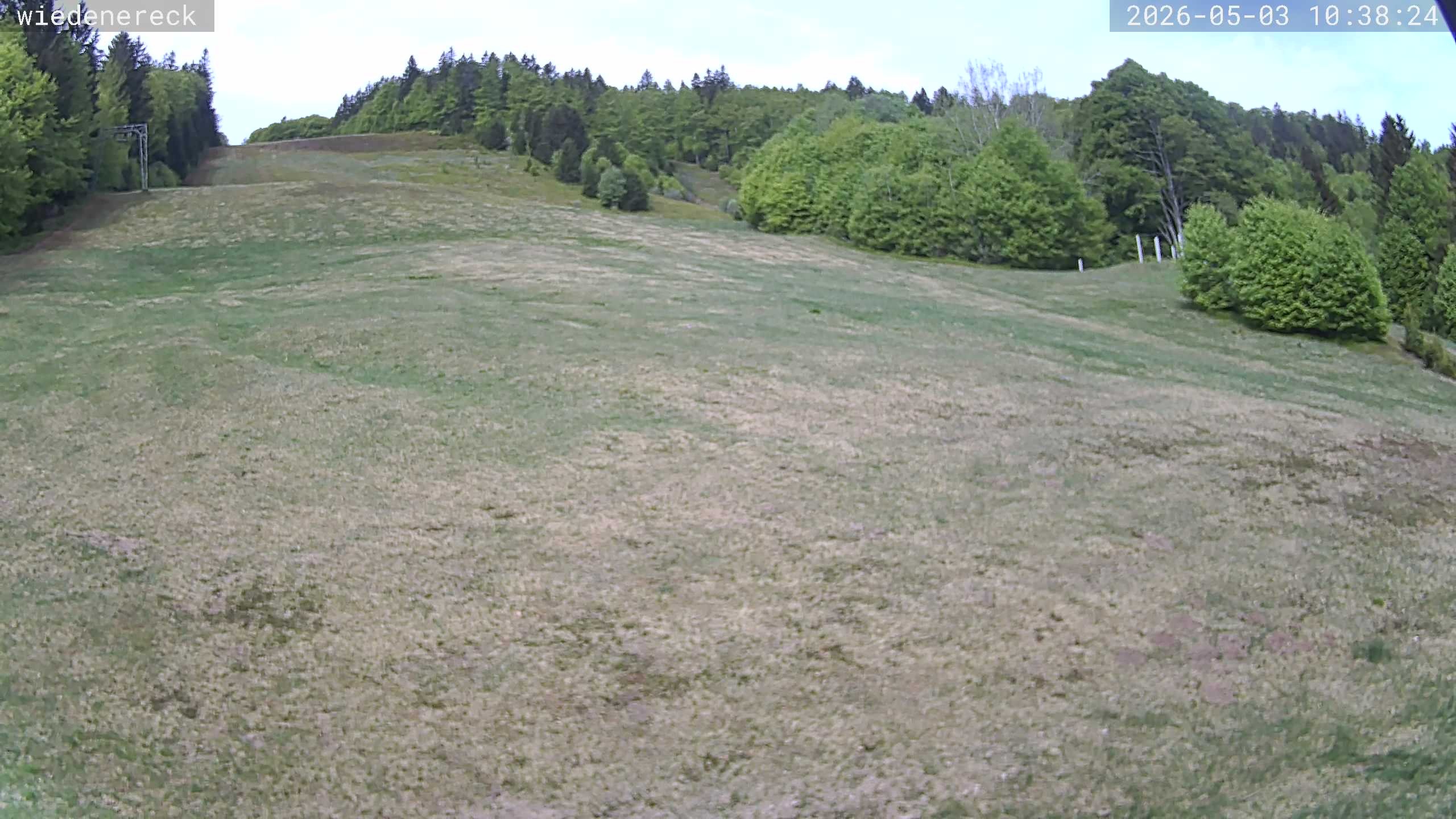 Archiv Foto Webcam Münstertal-Wieden: Rollspitz
