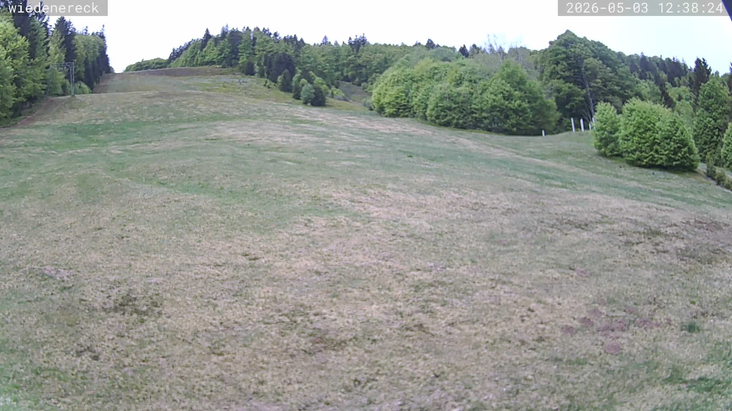 Archiv Foto Webcam Münstertal-Wieden: Rollspitz