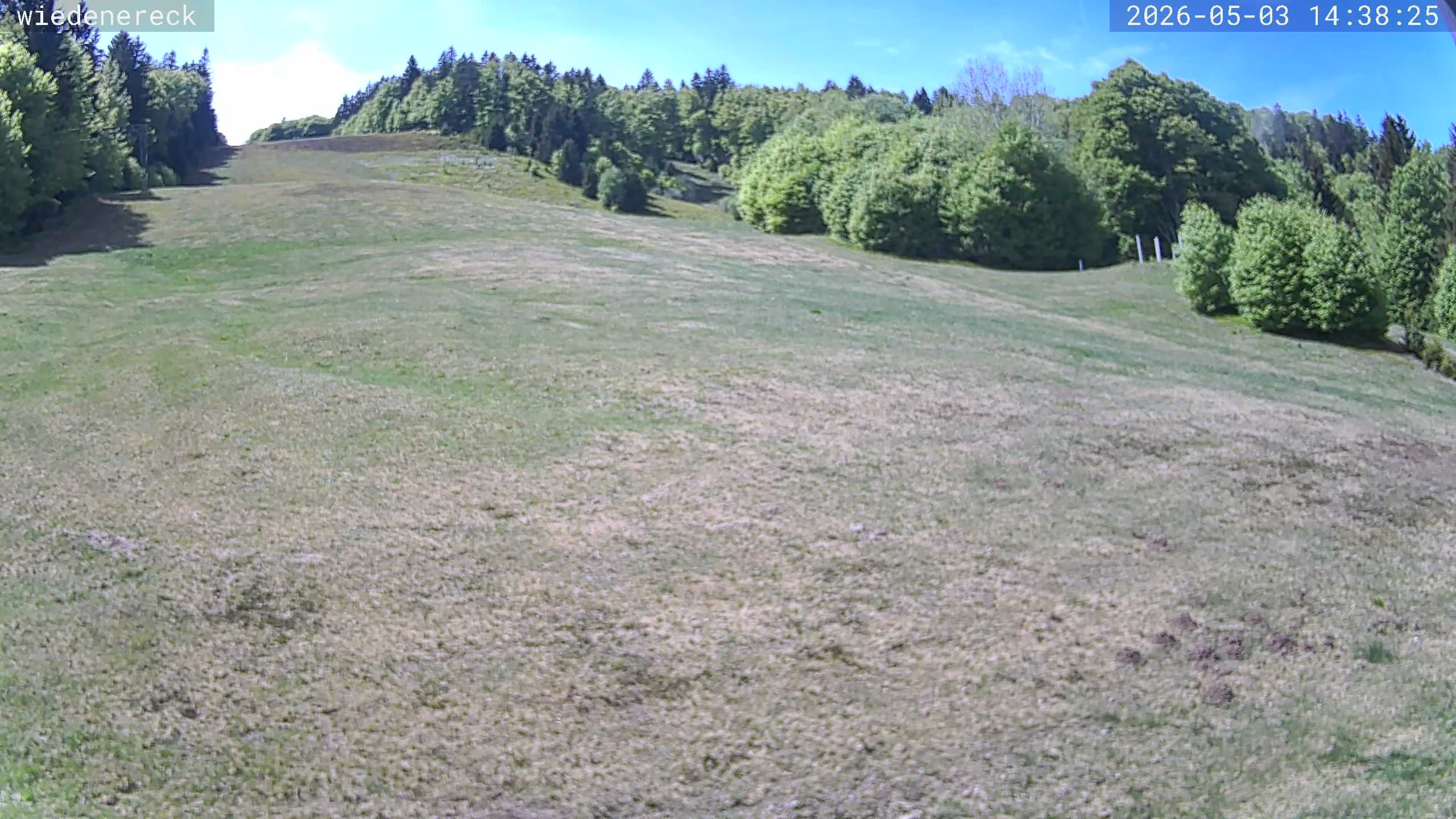 Archiv Foto Webcam Münstertal-Wieden: Rollspitz