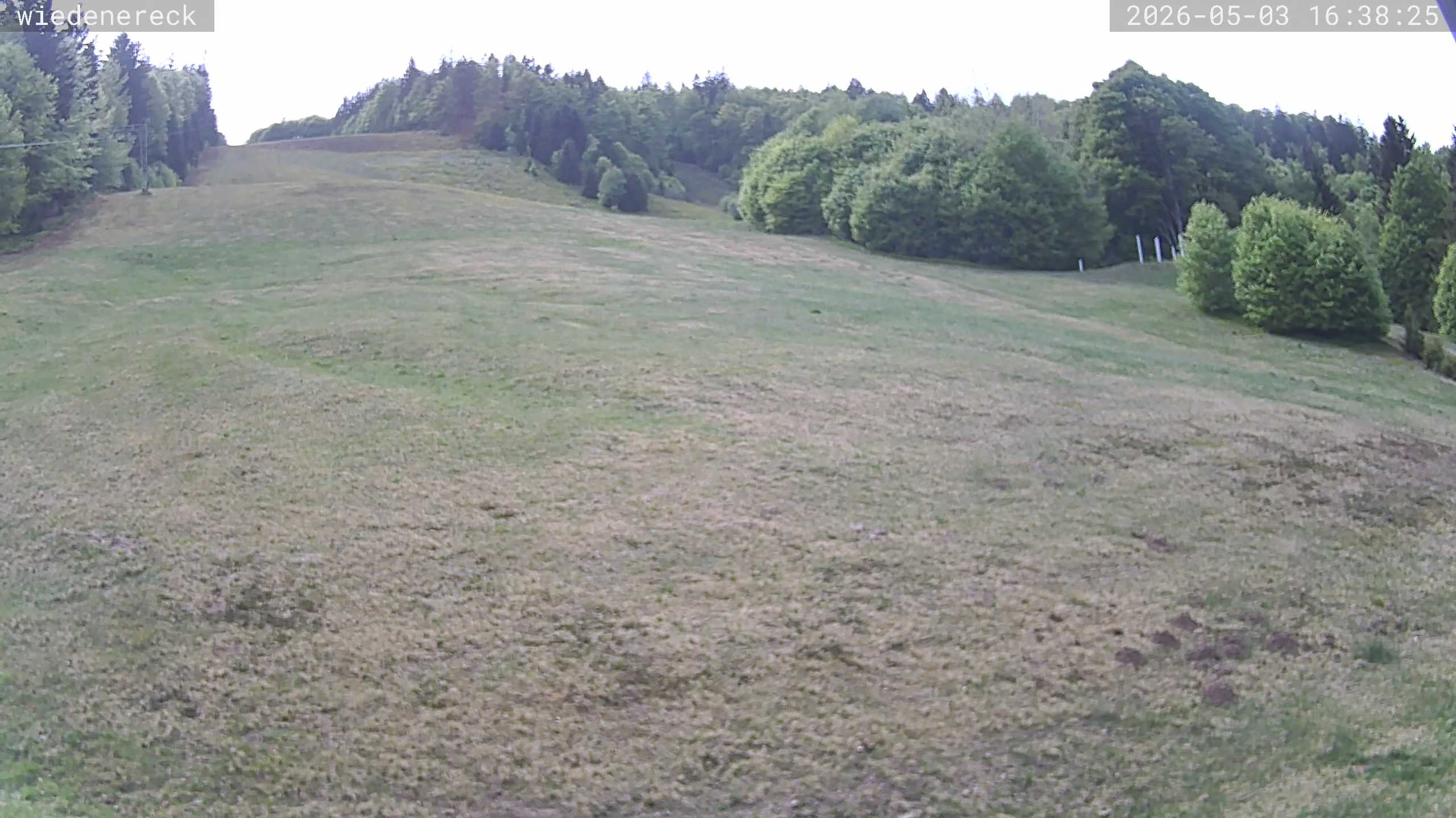 Archiv Foto Webcam Münstertal-Wieden: Rollspitz