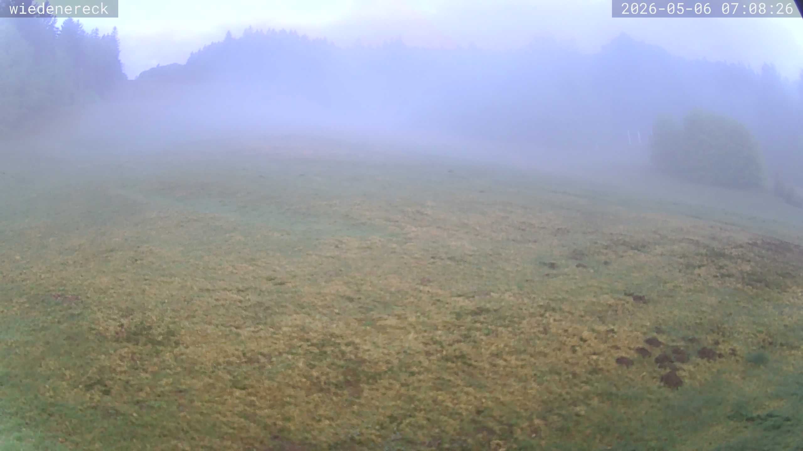 Archived image Webcam Rollspitz Münstertal-Wieden
