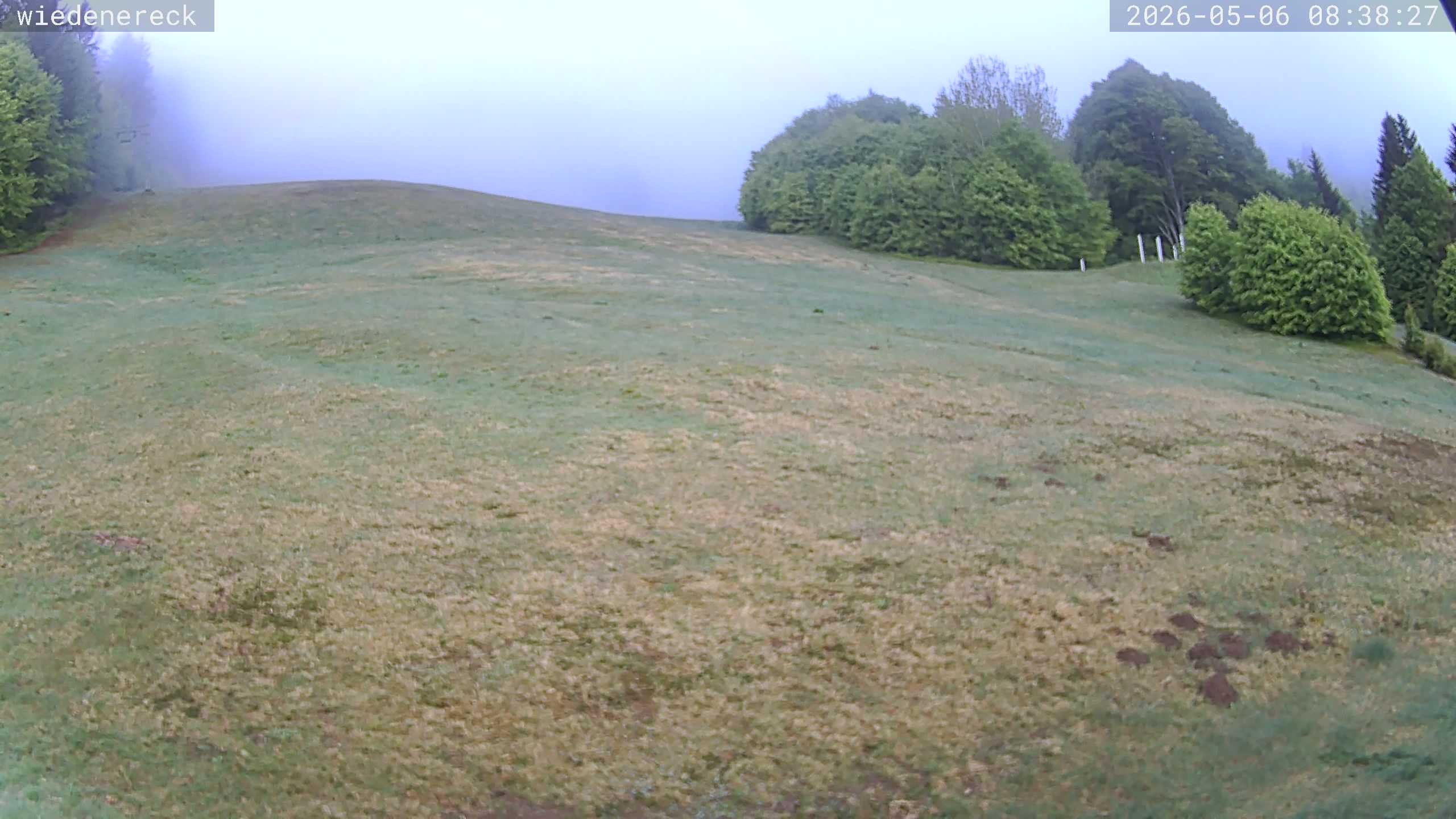 Archived image Webcam Rollspitz Münstertal-Wieden