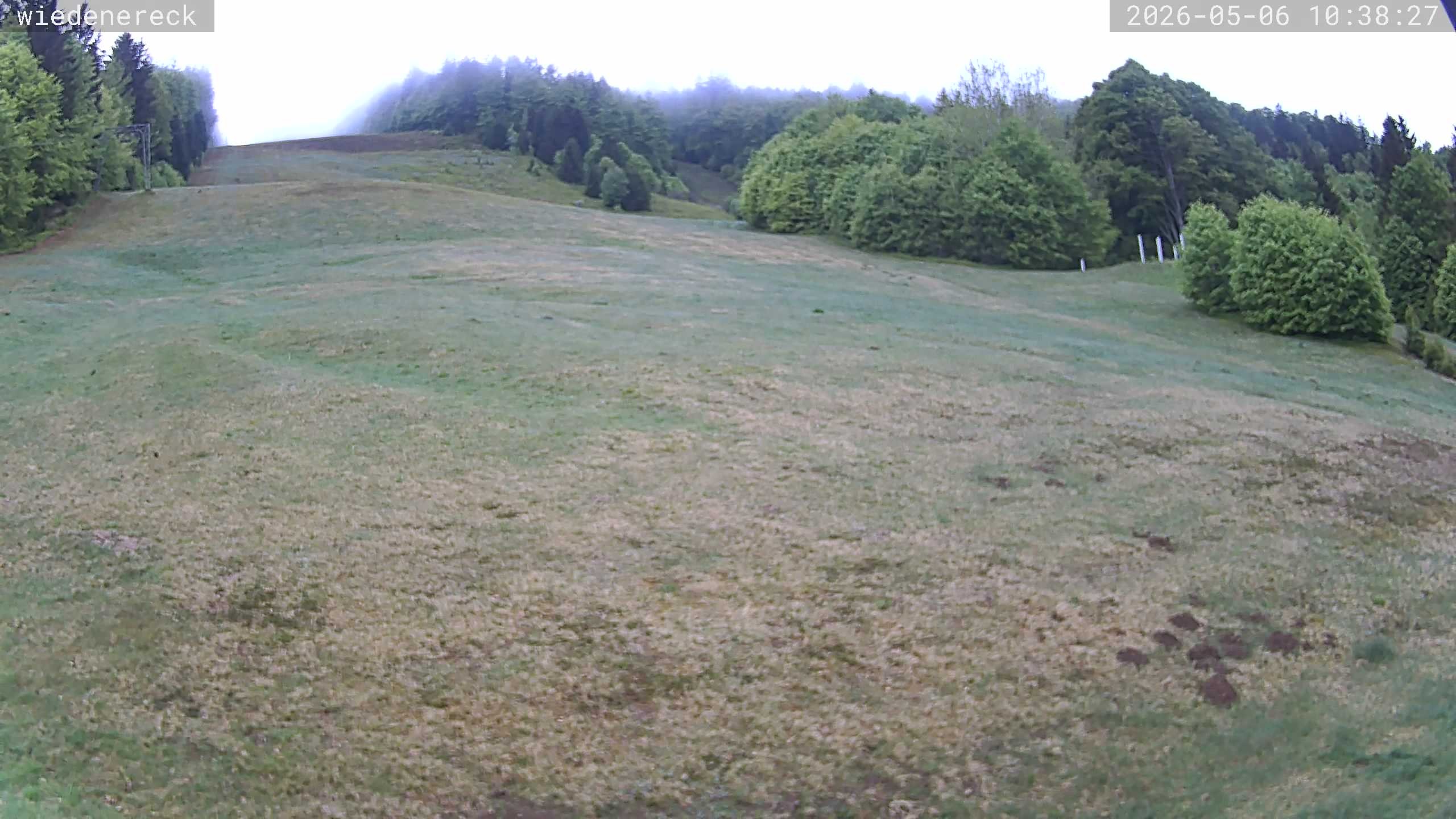 Archived image Webcam Rollspitz Münstertal-Wieden