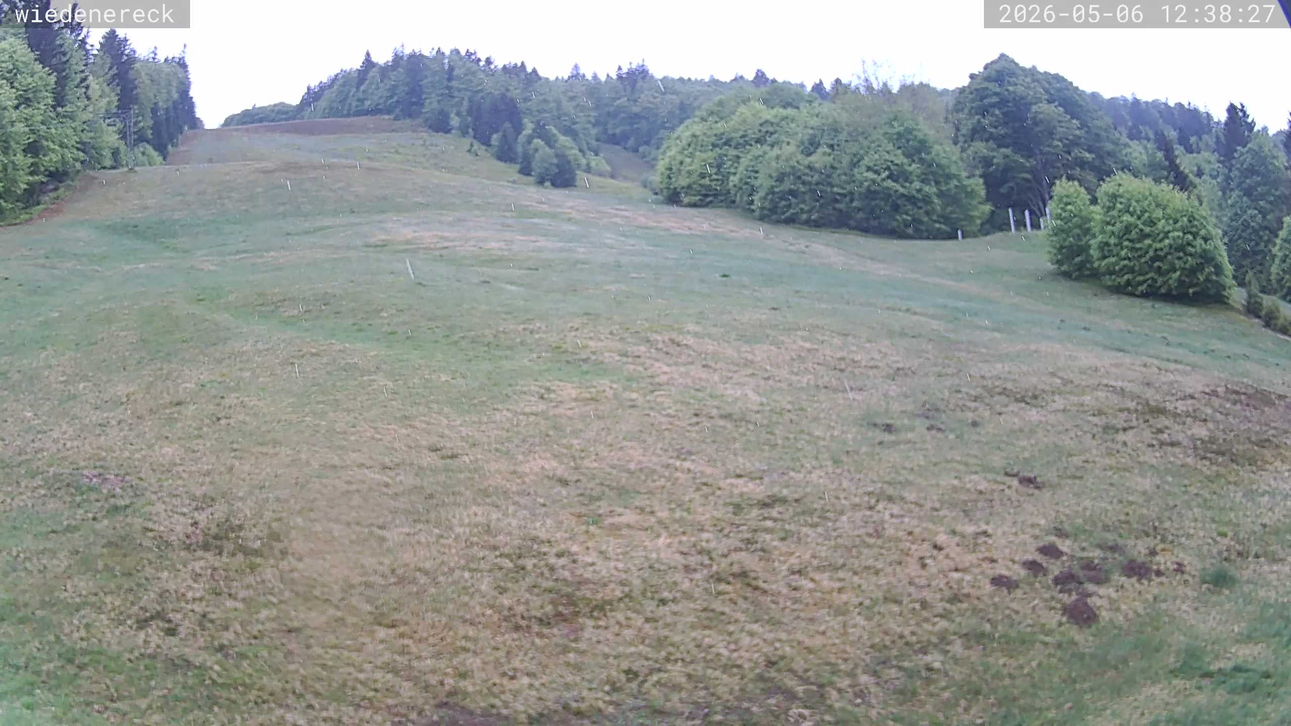 Archived image Webcam Rollspitz Münstertal-Wieden
