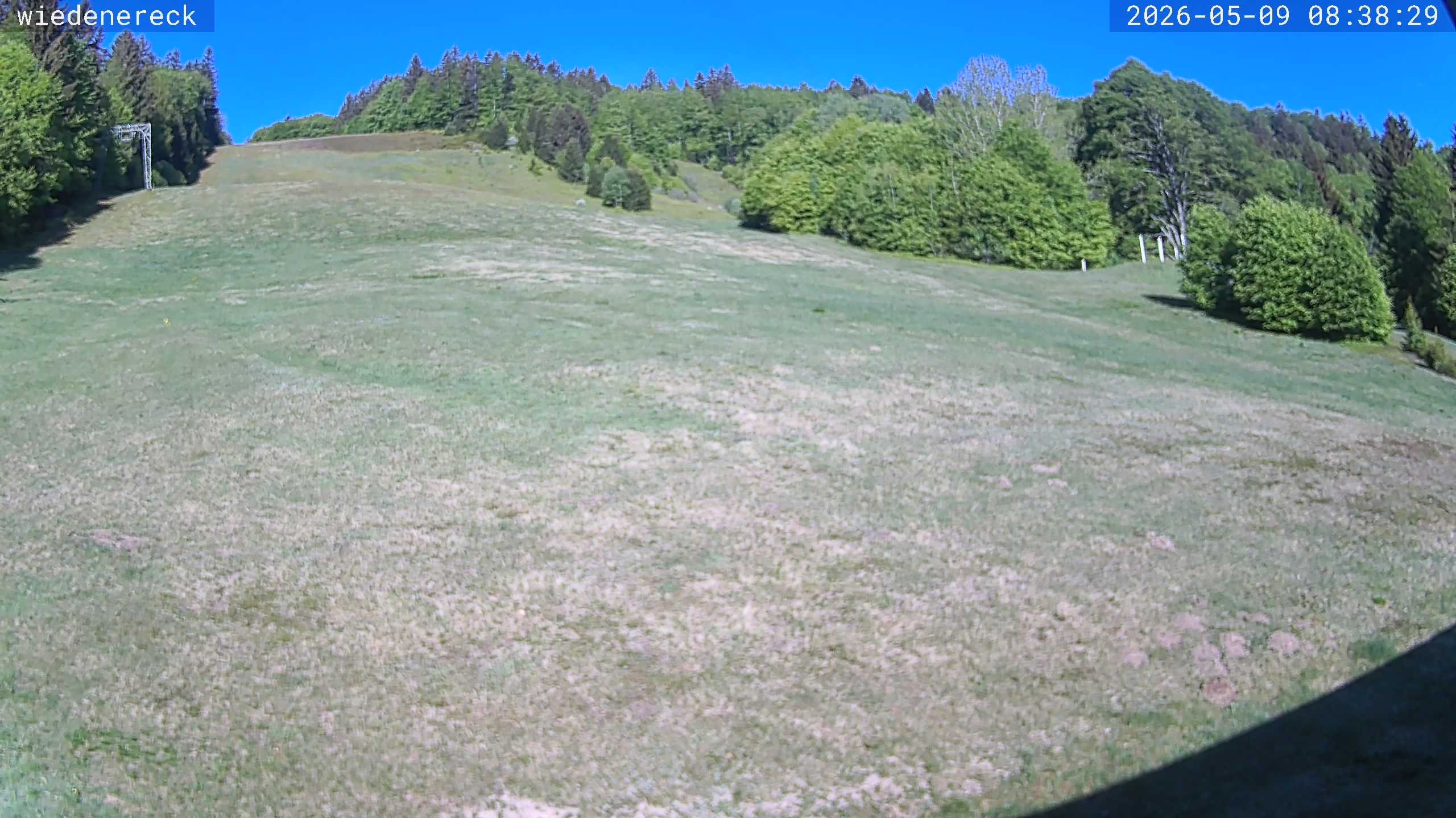 Archiv Foto Webcam Münstertal-Wieden: Rollspitz
