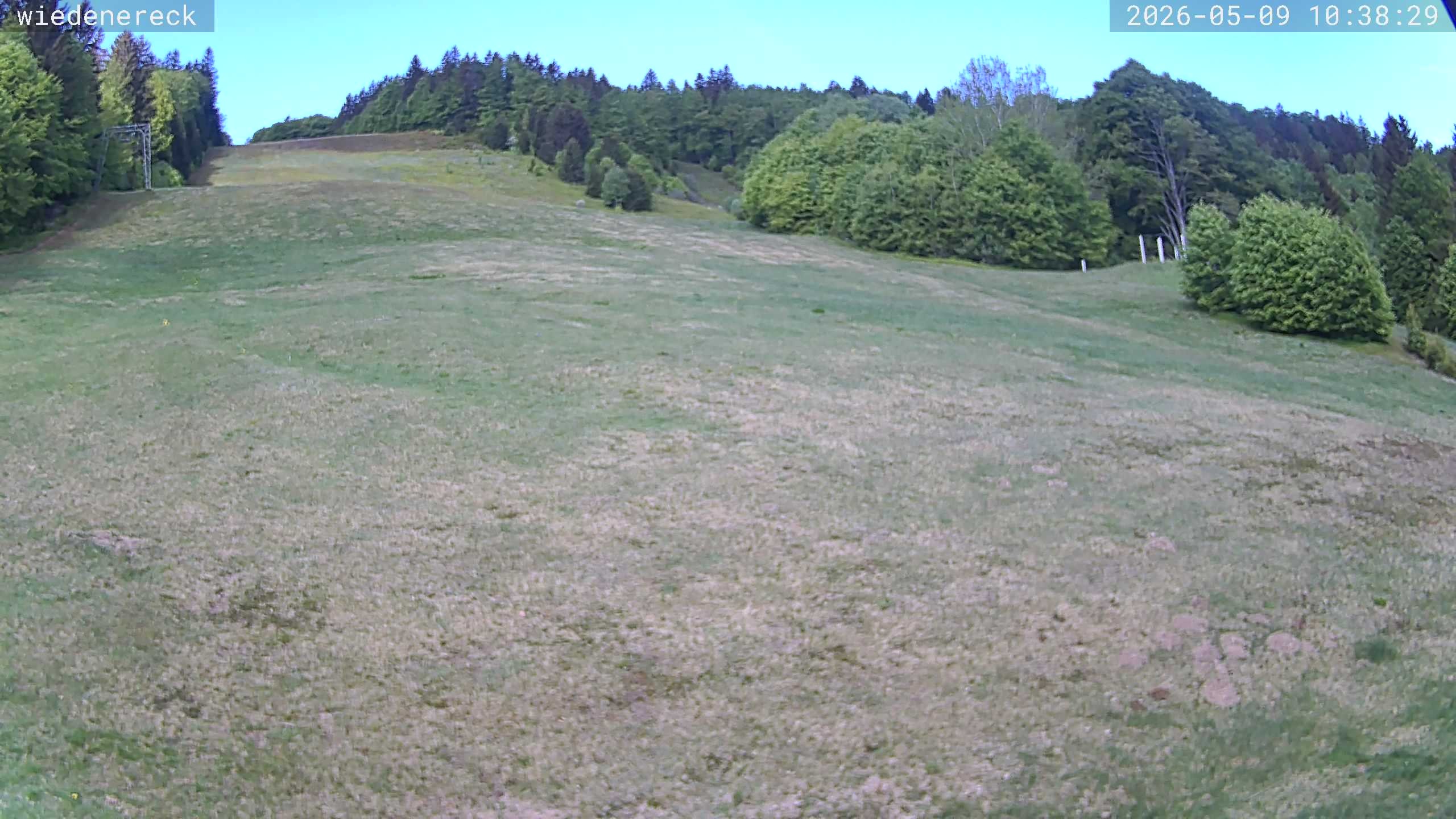 Archiv Foto Webcam Münstertal-Wieden: Rollspitz