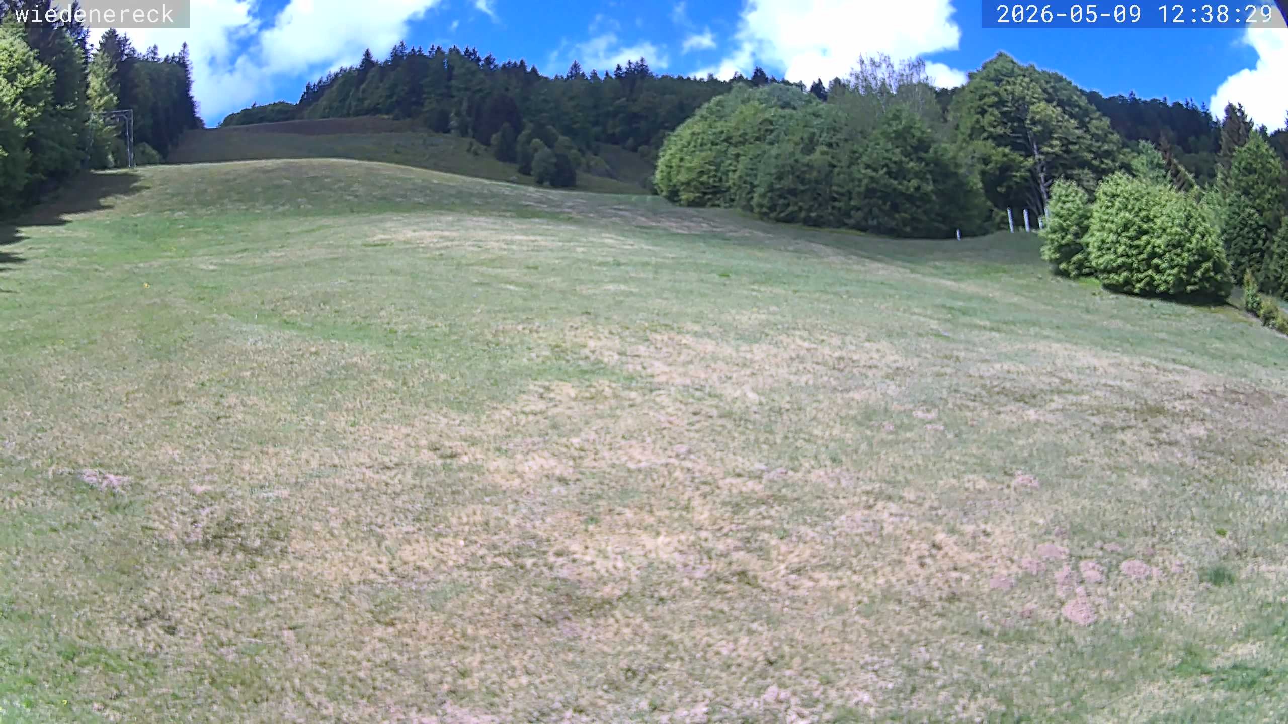Archiv Foto Webcam Münstertal-Wieden: Rollspitz