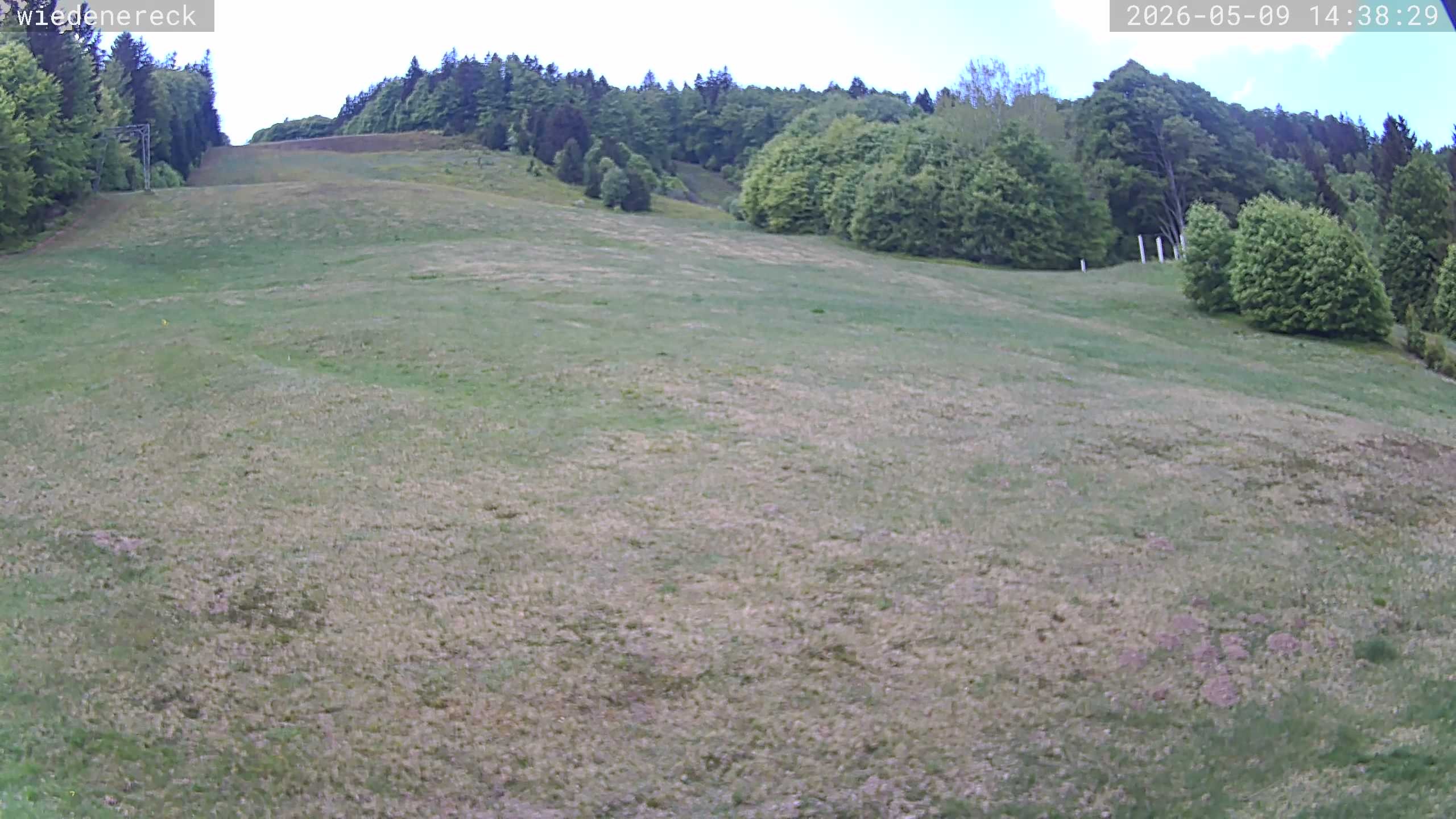 Archiv Foto Webcam Münstertal-Wieden: Rollspitz