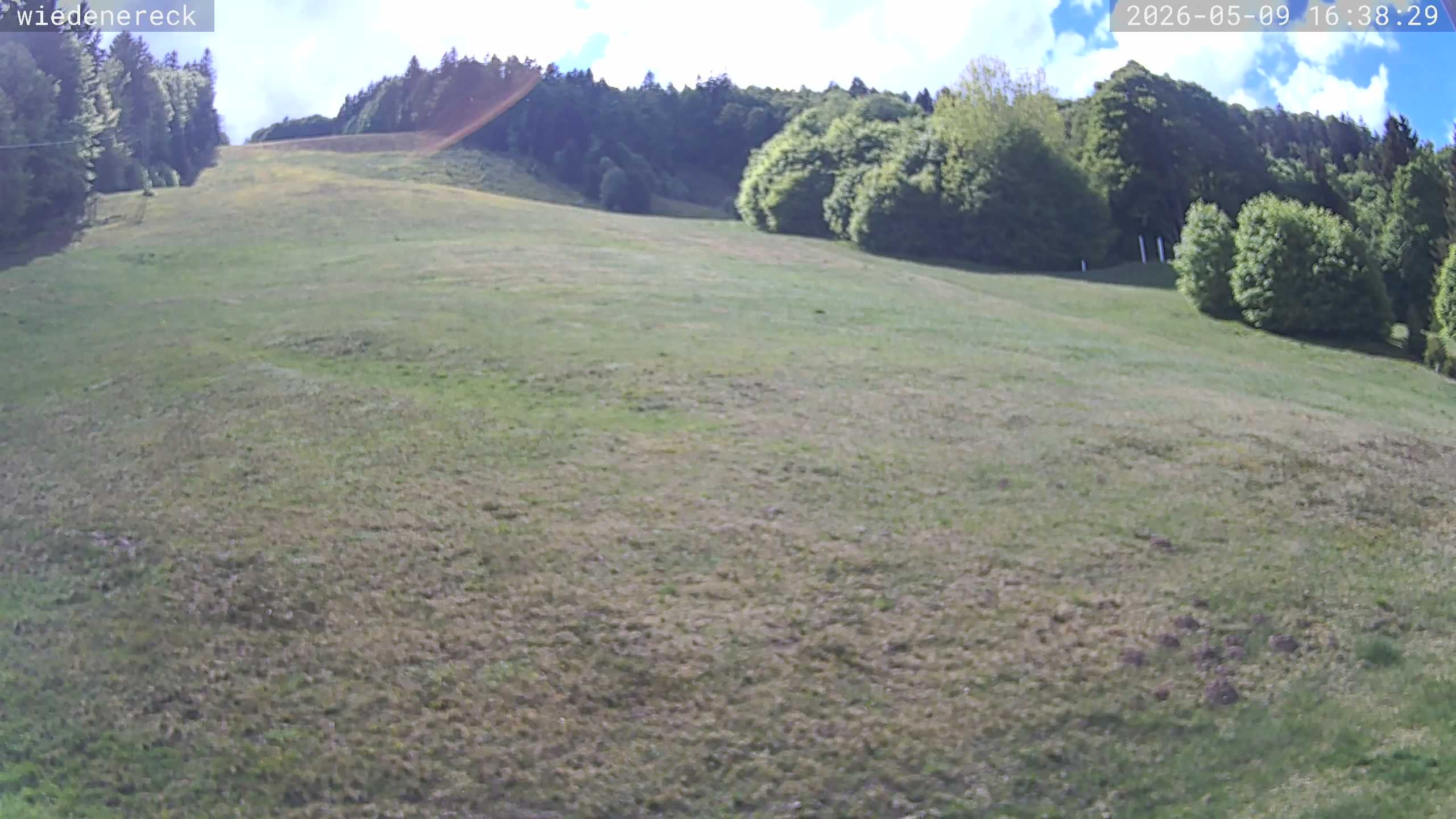 Archiv Foto Webcam Münstertal-Wieden: Rollspitz